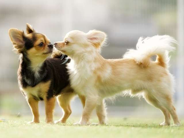 境界性パーソナリティ障害とは？〜症状や治療法など〜　【仙台 カウンセリング】